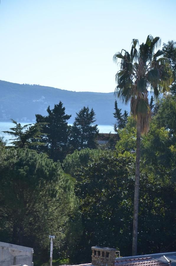 Апартаменты Apartments Vučetić Херцег-Нови